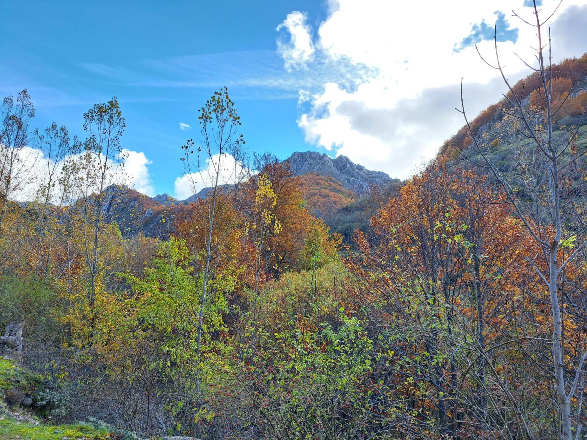 Valle del Tuejar Taranilla Esterno foto